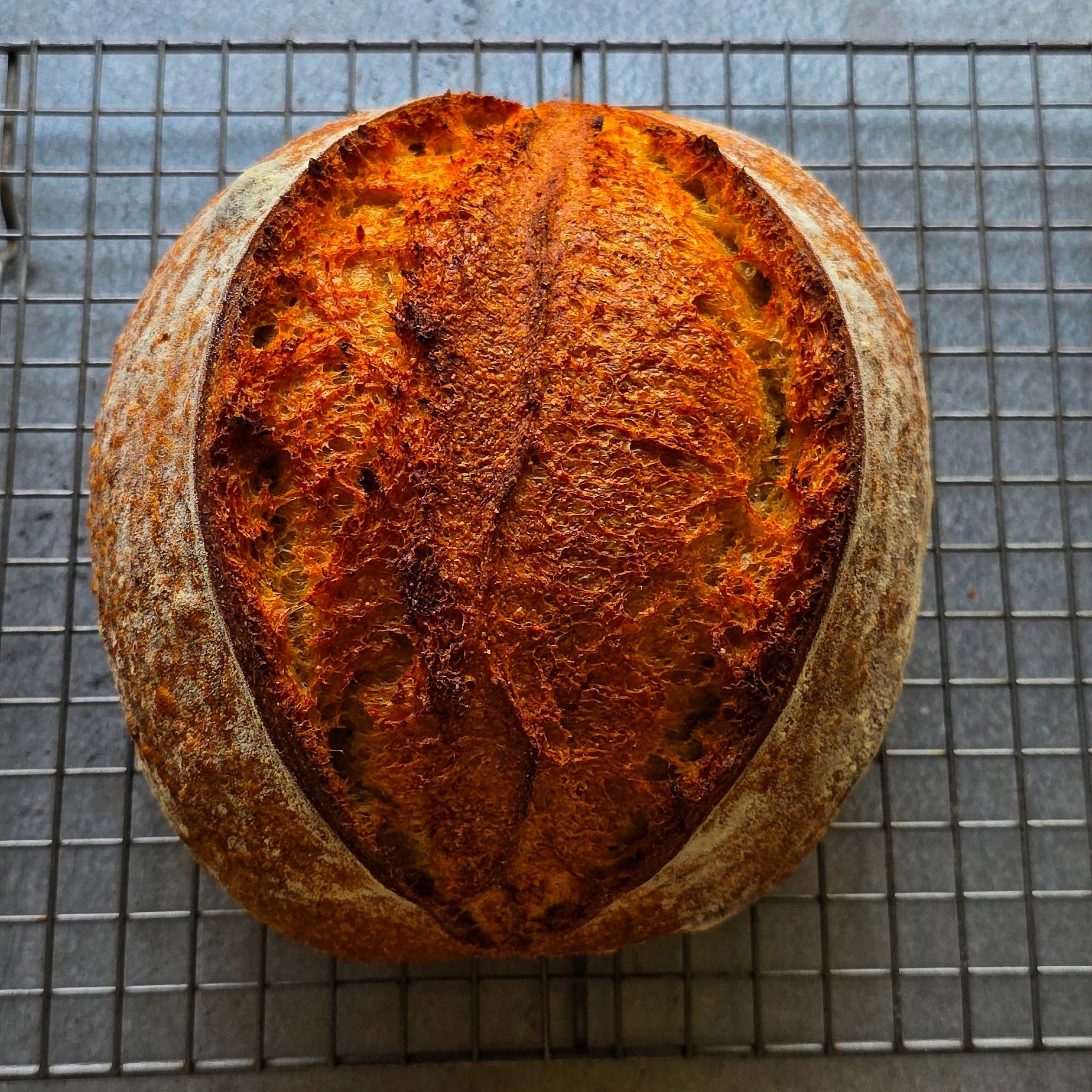 Oat Porridge Sourdough