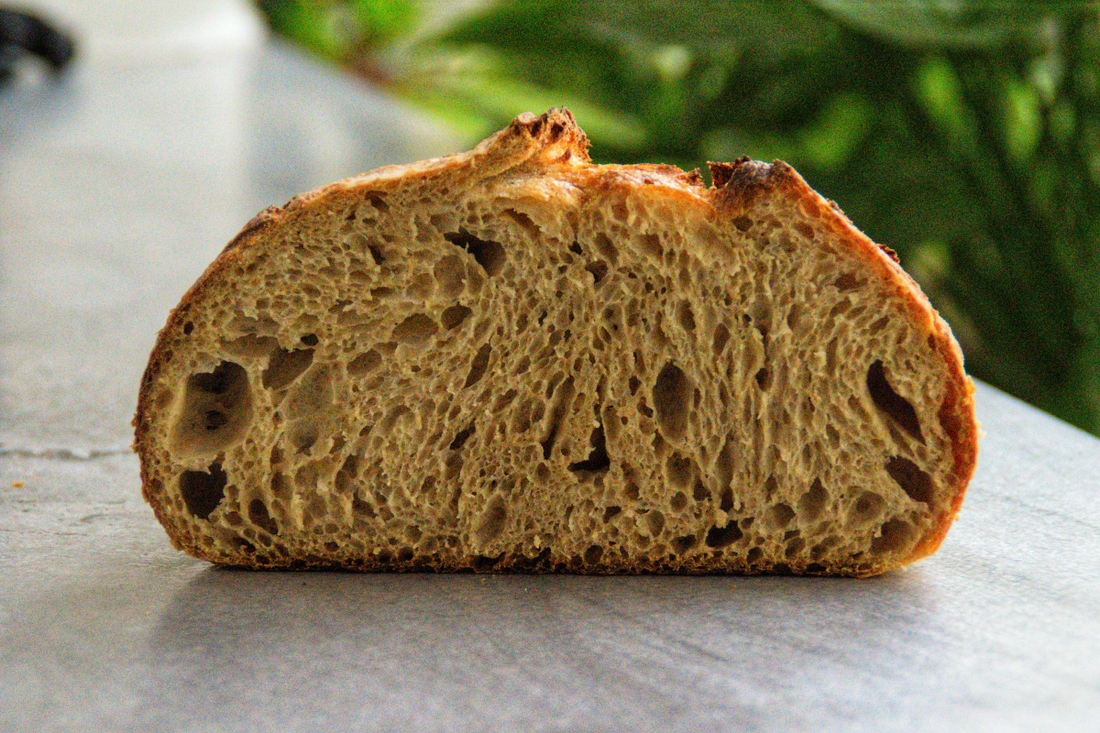 100% Whole Wheat Sourdough